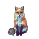 nevoeiro-de-sonhos avatar