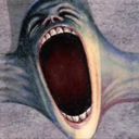 new-england-is-mine avatar