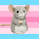 new-kit-on-the-block avatar