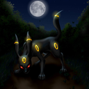 new-moon-star avatar