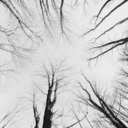 new-nightmare-me avatar