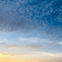 new-salad-days avatar