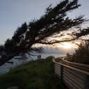 newendings-oldbeginnings avatar