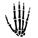 newenternetorder avatar