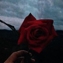 newer-give-up avatar