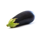 newfreeothertime avatar