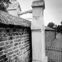 newholm-mulisha avatar