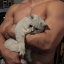 newhopelessromantics avatar