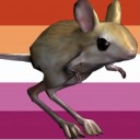 newlesbianprideflag avatar