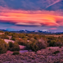 newmexicosunset-otd avatar