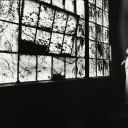 newmoonfalling avatar