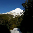 newplymouthproblems avatar