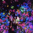 newseptembermornings avatar