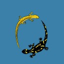 newt-and-salamander avatar