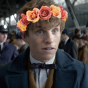 newt-dorkmander avatar