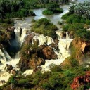 newtonscamader avatar