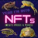 newtsfrogstoads avatar