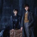 newttinascamander-blog avatar