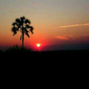 newurlincoming avatar