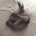 newyorkmadhouse avatar