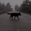 newyorksecrets avatar