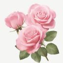 next-virgin-mary avatar