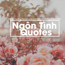 ngontinhquotes avatar