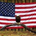 nharp1081-blog avatar