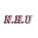 nhuniversity avatar