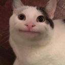 niallatemycreativity avatar