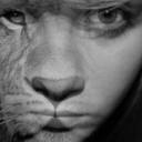 nic000le-blog avatar