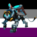 nice-message-black-lion avatar