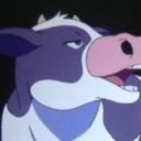 nice-message-kaltenecker avatar