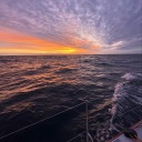 nicelylostember avatar