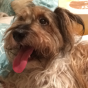 nicepeoplearenice avatar