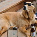 niceposerasta avatar