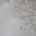 niceworkmartha avatar