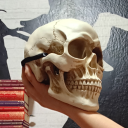 nicht-ganz-allein-sunny avatar