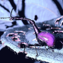 nichtsnichtsgarichts avatar