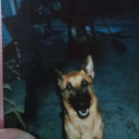 nick-is-nowhere avatar