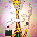 nickkushh avatar