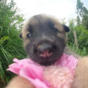 nicknackpattyjack avatar