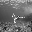 nickpalatella avatar