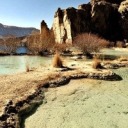 nickthewolfie avatar