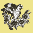 nicolahanrahan avatar