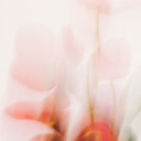 nicolasblandin avatar