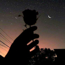 nicole023-blogs-blog avatar