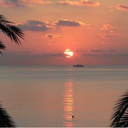 nicolearlenee avatar