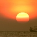 nicolecupcake avatar