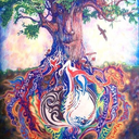 nicolembieber-blog avatar